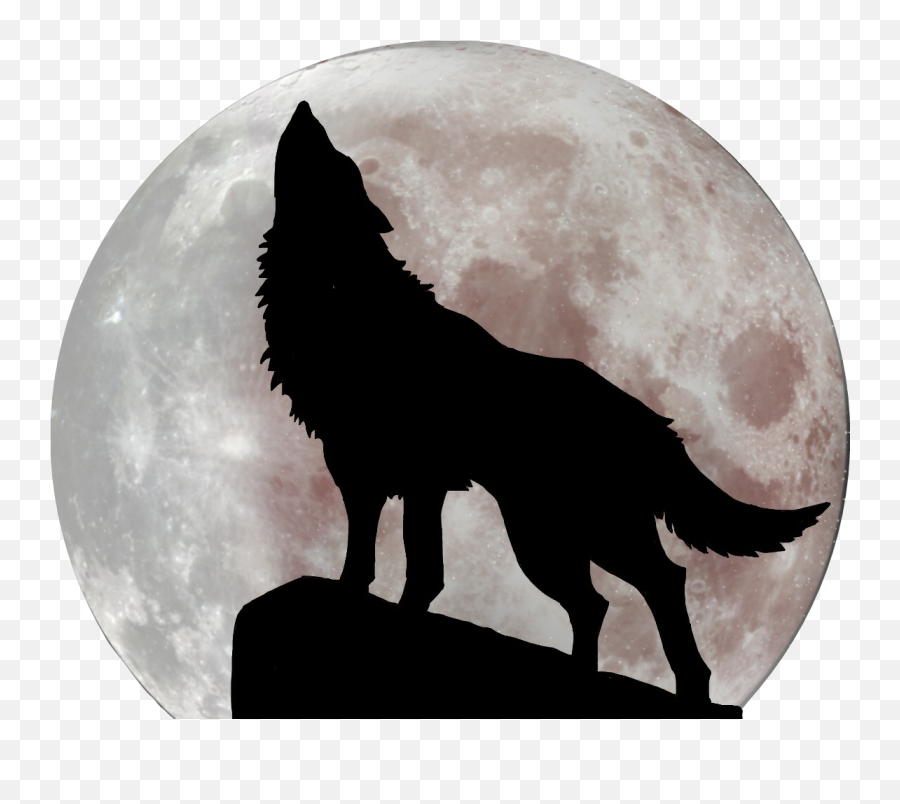 Wolf Wolfhowling Moon Sticker - Wolf Shadow Howling At Moon Emoji,Effects Of Full Moon On Emotions