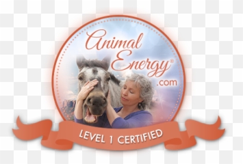 The Nature Of Animals - Horse Supplies Emoji,Love Emotion Human Animals