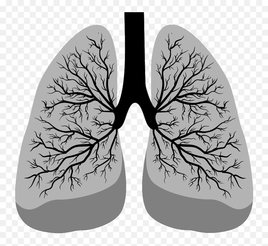 Chazzedlungs - Lungs Black And White Emoji,Lung Emoji