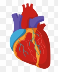 Body Anatomy Human Heart Organ Artery Emoji,Anatomy Of Emotion