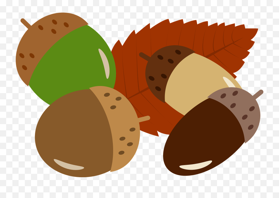 Acorns And Fallen Leaf Clipart Free Download Transparent - Acorn Emoji,Walnut Emoji