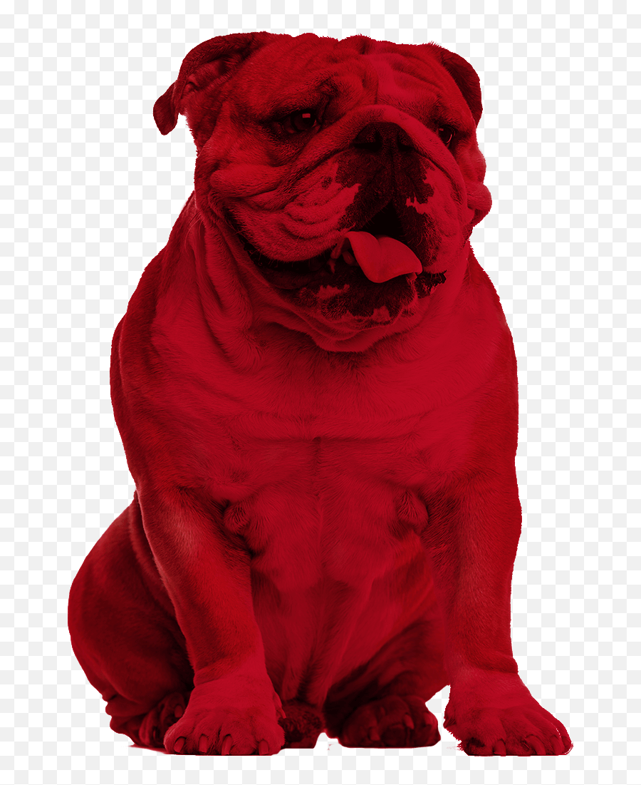Bulldog Creative Services Emoji,Shar Pei Emoticon