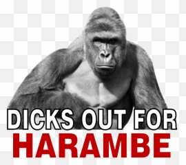 Harambe Toddler T - Shirts Teeshirtpalace Emoji,Gorilla Face Emoji