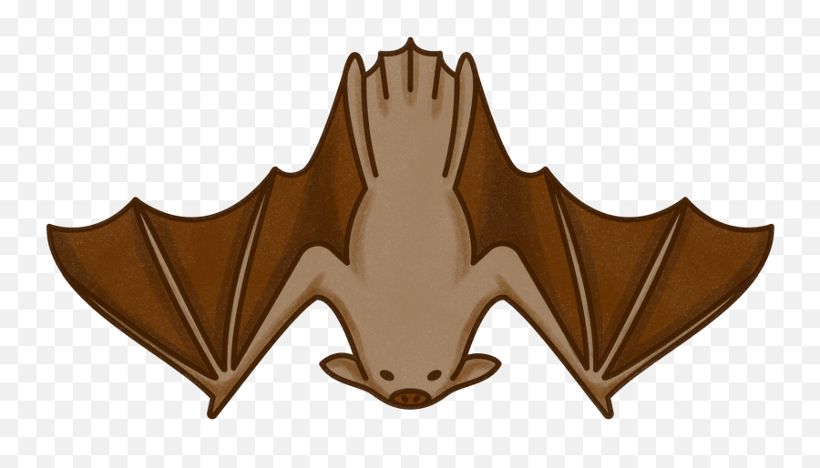 Meadow Pop - Up Restaurant Identity U2014 Mary Boyer Design Emoji,Whatsapp Pop Star Emoji