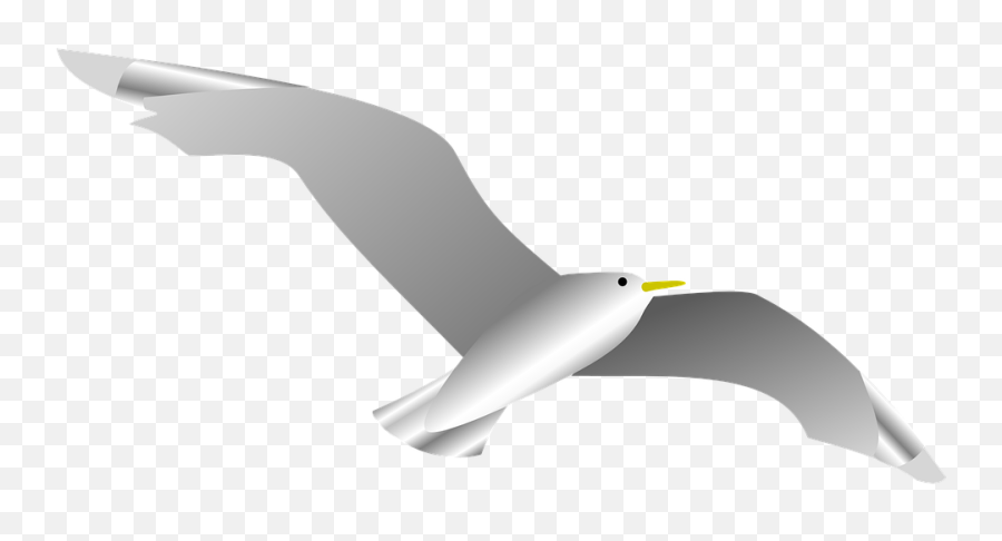 Dove Naval Bird - Free Vector Graphic On Pixabay Emoji,Levitating Emoji