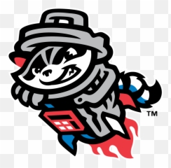 Raccoonpanda - Discord Emoji Rocket City Trash Pandas,City Emoji