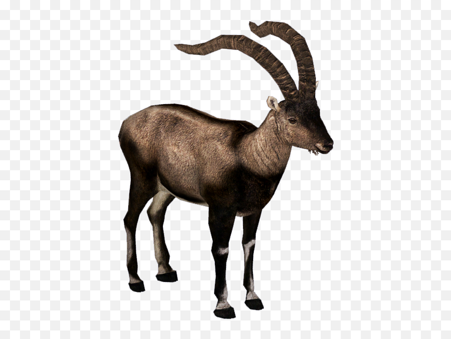 Pyrenean Ibex Download - Pyrenean Ibex Png Clipart Full Ibex Png Emoji,Nigeria Flag Emoji Iphone