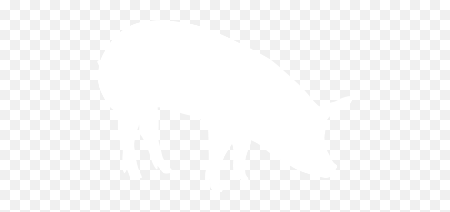 White Pig 5 Icon - White Pig Icon Png Emoji,Pig Emoticon Text