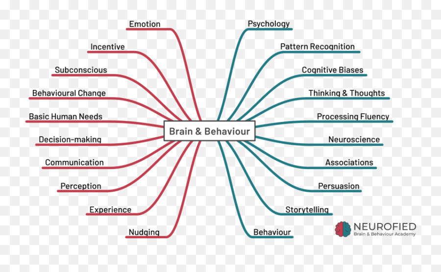 Brain U0026 Behaviour Crash Course By Neurofied Emoji,Brain Structure Emotion
