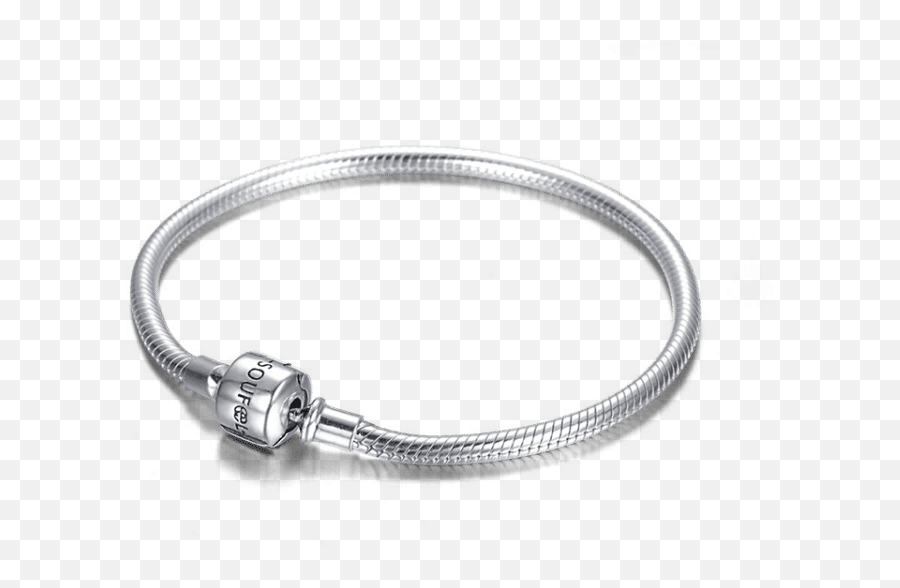 Complete Charm Bracelet Silver - Bracelet En Argent Png Emoji,Emoji Bracelets