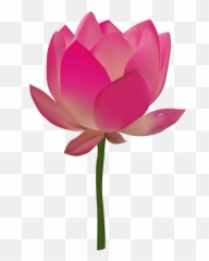 Pink Flower Emoji Png - Clipart Image Of Lotus Flower,Hibiscus Emoji