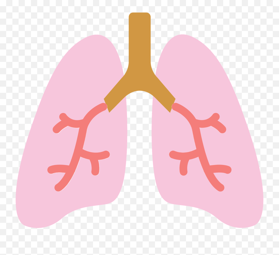 Lungs Clipart - Lungs Clip Art Png Emoji,Lung Emoji