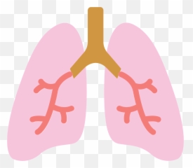 Lungs Clipart - Lungs Clip Art Png Emoji,Lung Emoji