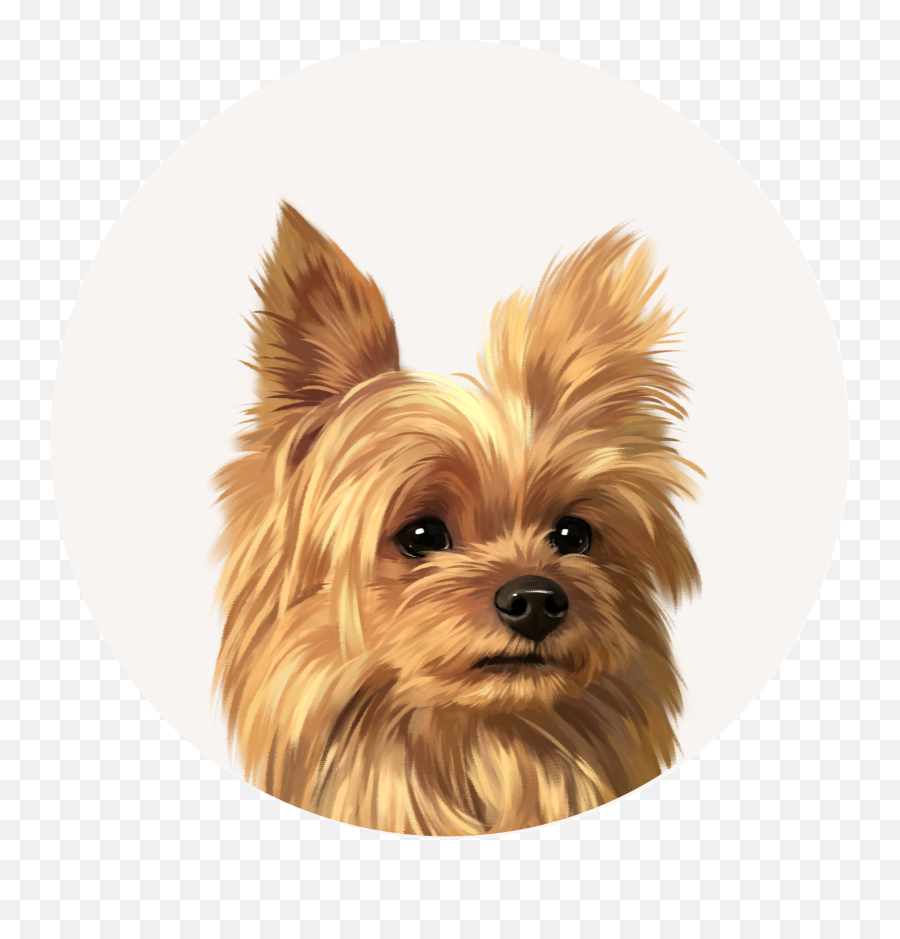 Furcle Custom Pet Portraits Emoji,Yorkie Emojis