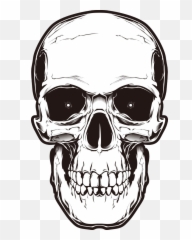 White Skull Png Transparent Images - Transparent Background Skull Png Transparent Emoji,2 Skull Emoji