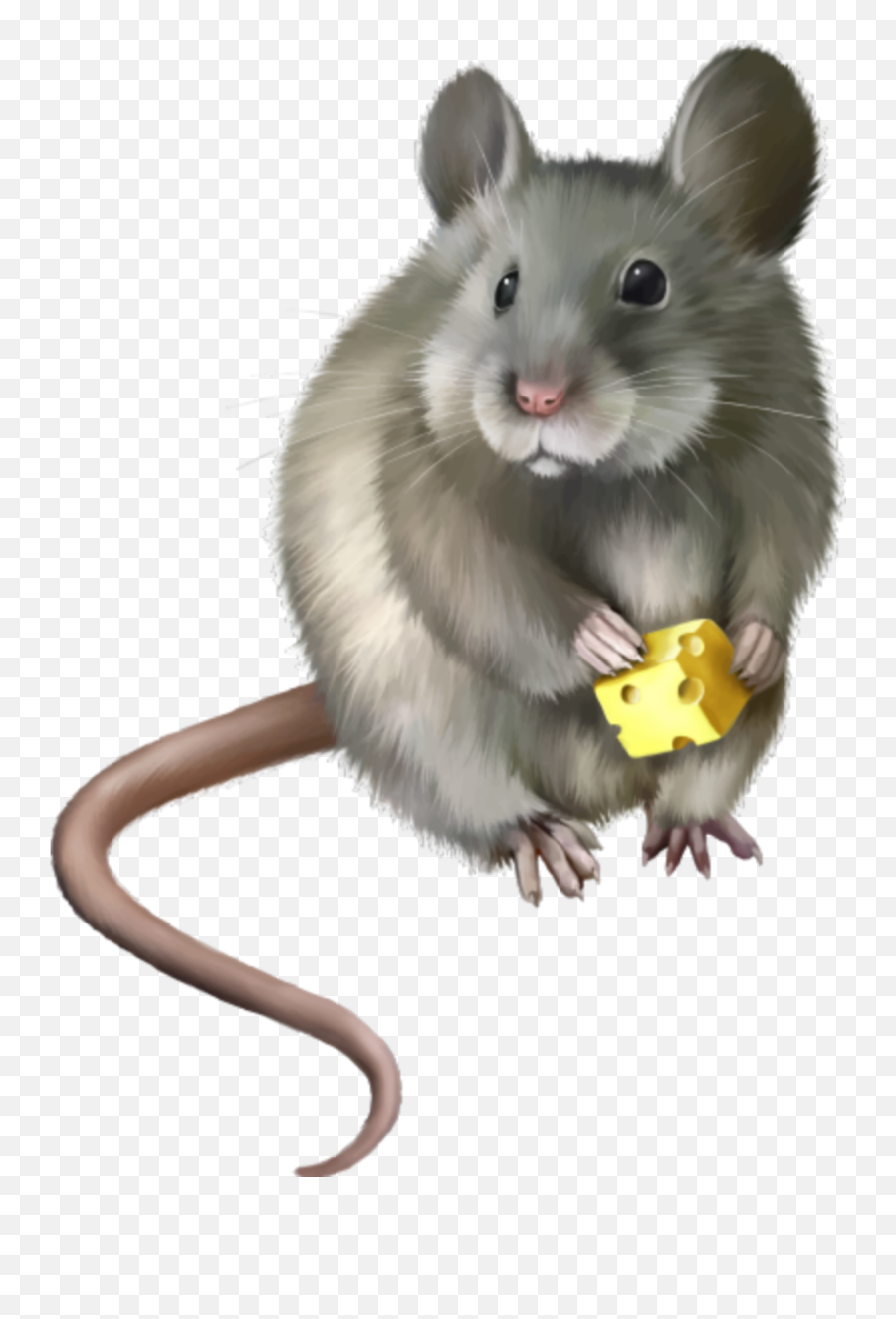 The Most Edited Rat Picsart - Rodent Clipart Emoji,Mouse Bunny Hamster Emoji