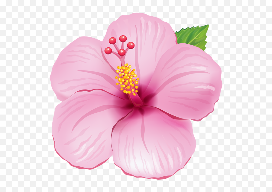 Flower Clipart Flower Drawing - Flower Clipart Transparent Emoji,Hibiscus Emoji