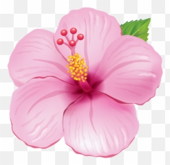 Flower Clipart Flower Drawing - Flower Clipart Transparent Emoji,Hibiscus Emoji