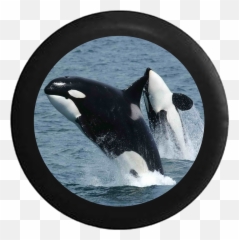 Products Emoji,Orca Emoji