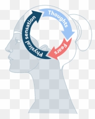Health Psychologist Dr Sula Windgassen On Navigating - Ksb Emoji,Psychology Cycle Negative Emotions Cbt