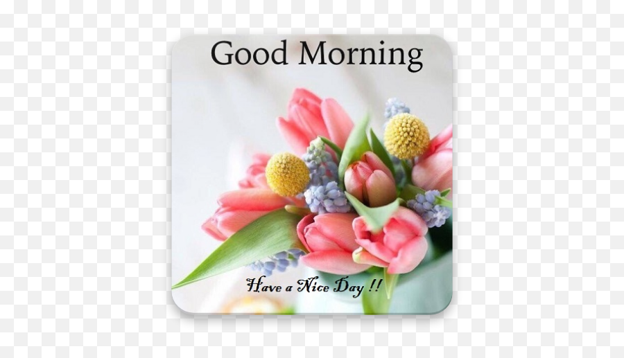 Good Morning Greetings 11 Apk Download - Comdoublenineapps Emoji,Emojis Happu Png