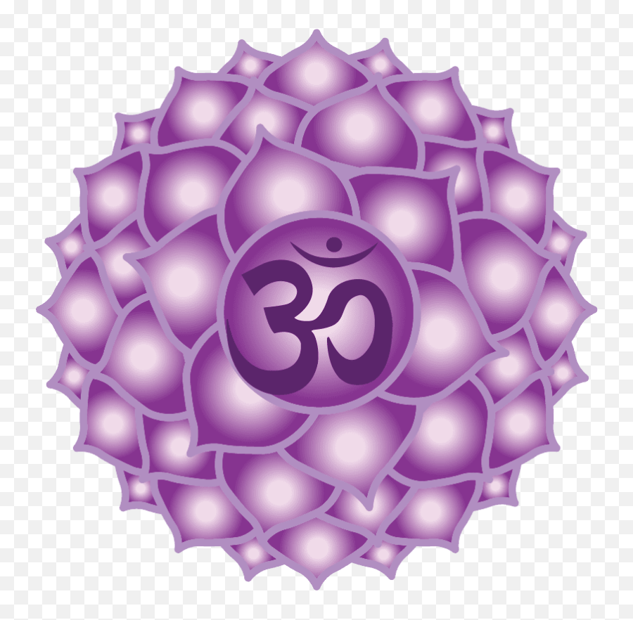 Behzad Randeria - Chakra Purple Emoji,Chakras Negative Emotions And Positive