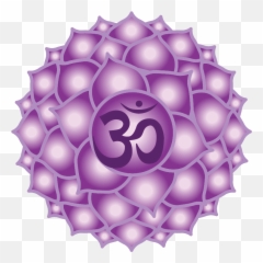 Behzad Randeria - Chakra Purple Emoji,Chakras Negative Emotions And Positive