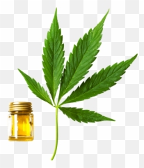 Canafarma Hemp Products Corp - Cbd Oil Drug Emoji,Cannabis Piggy Emoticon
