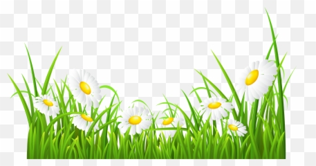 Daisies Clipart - Clip Art Library Emoji,White Daisy Emoji