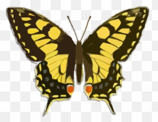 Icons Icon Emoji Icons Emoji Icon 11png Snipstock,Butterfly Emoji Meaning