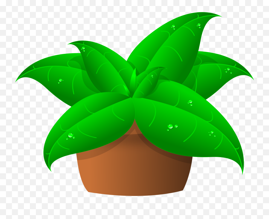 Free Pictures Of Pot Plants Download Free Clip Art Free - Plants Clipart Emoji,Potted Plant Emoji