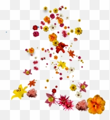 Vegan Menu Banquetofhoshena - Floral Emoji,Anger Volcano Emotions