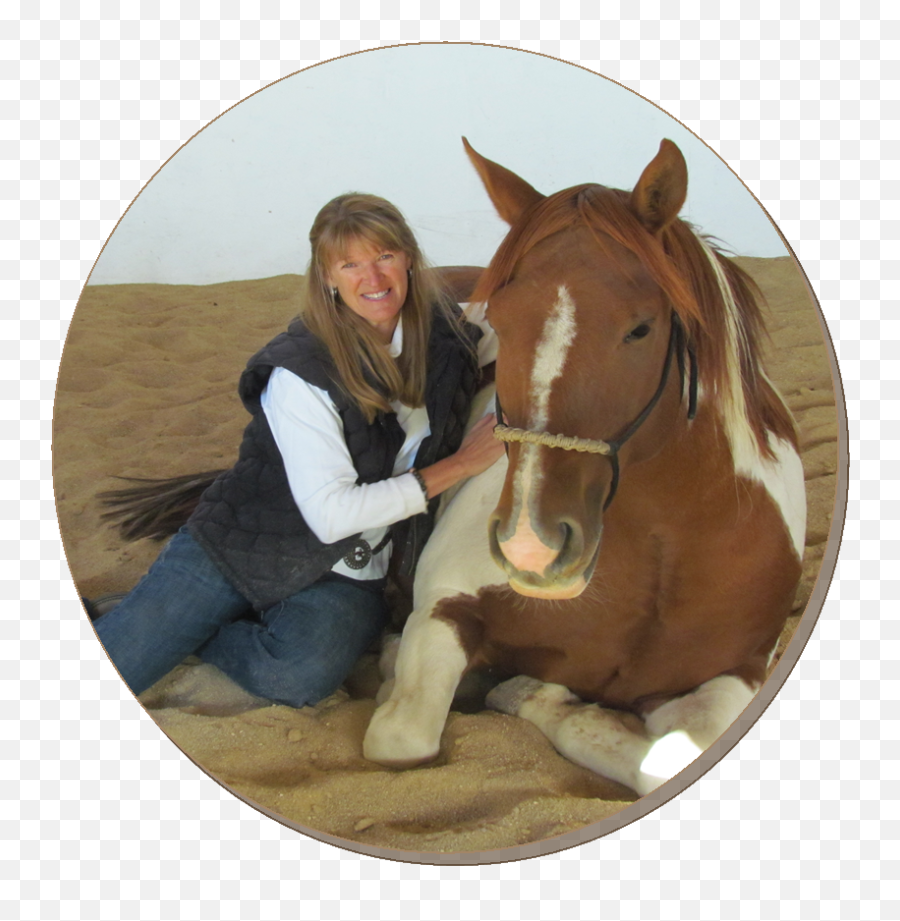 Horse Training - Horse Supplies Emoji,Equine Emotions
