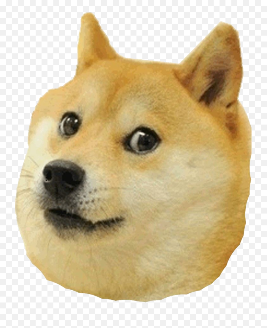 Crosis What Are U Talking Ab - Replit Transparent Doge Png Emoji,Animal Jam Emoticon Chat