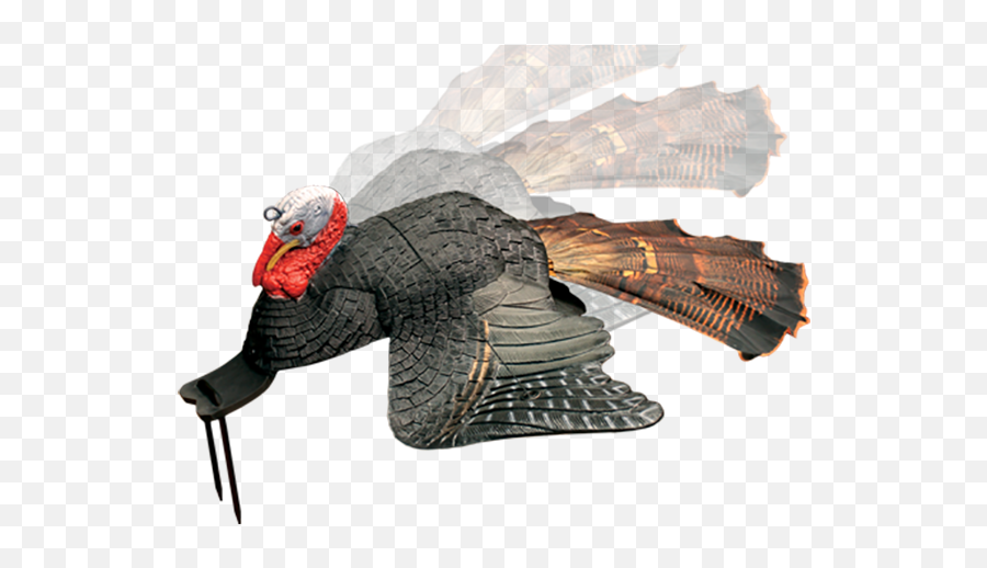 Using Turkey Decoys For Success - The Blog Of The Wild Turkey Emoji,Emotions Turkeys Feel