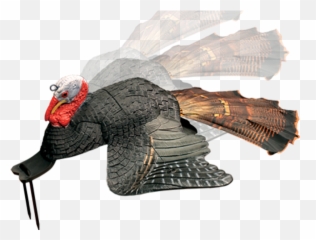 Using Turkey Decoys For Success - The Blog Of The Wild Turkey Emoji,Emotions Turkeys Feel