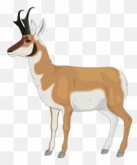 Pronghorn Clipart Emoji,Jirafe Emojis Png