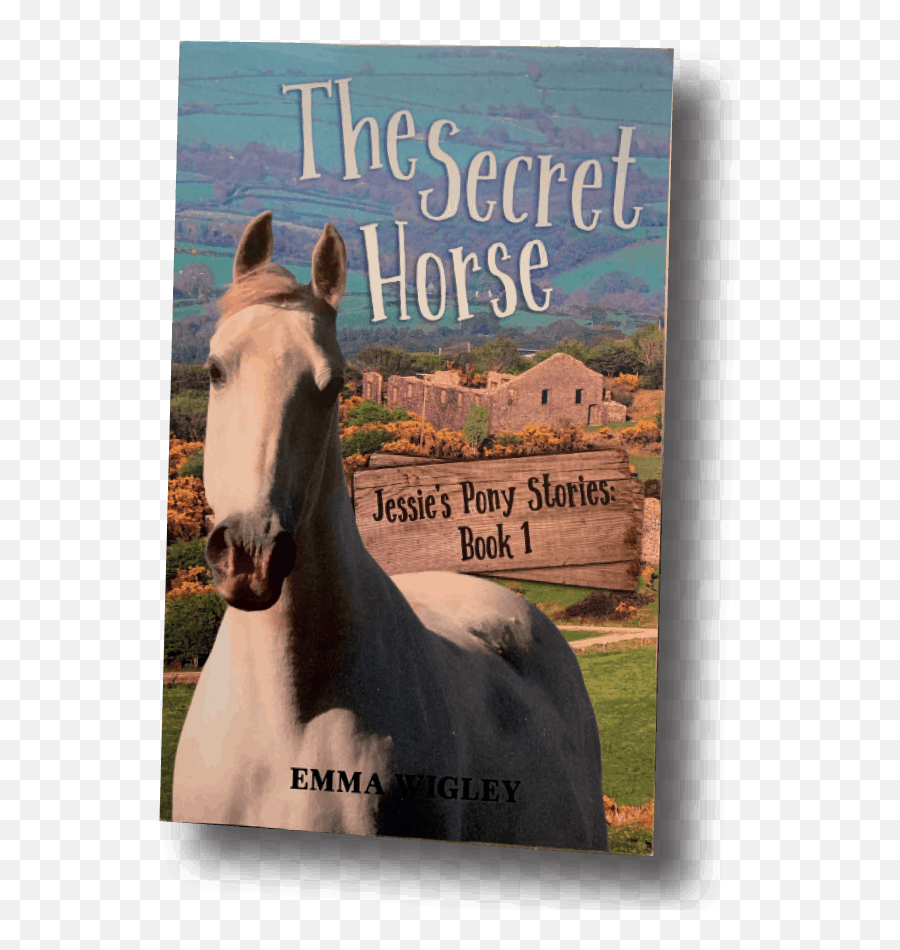 The Secret Horse By Emma Wigley Pony Magazine Emoji,My Little Pony Emotions Coloring Pages