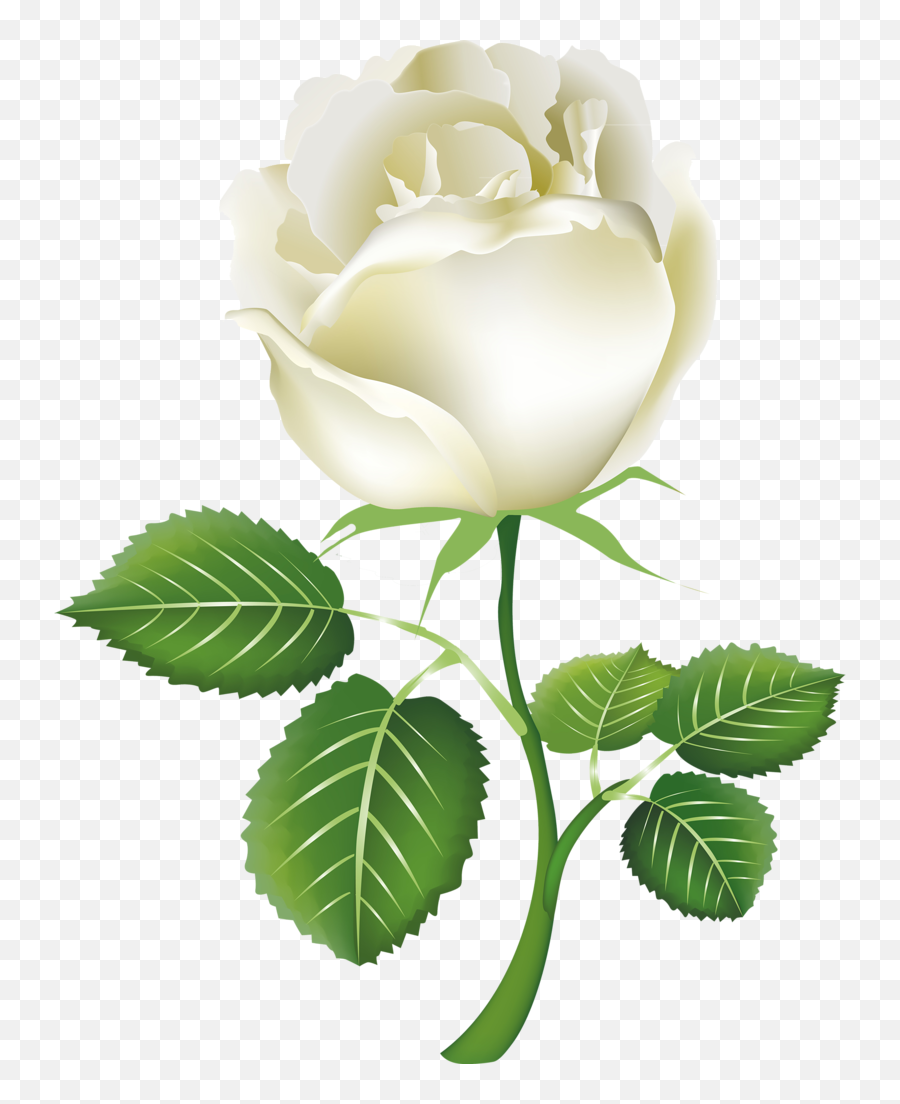 White Rose - White Rose For Friend Emoji,Japanese Flower Emoticon
