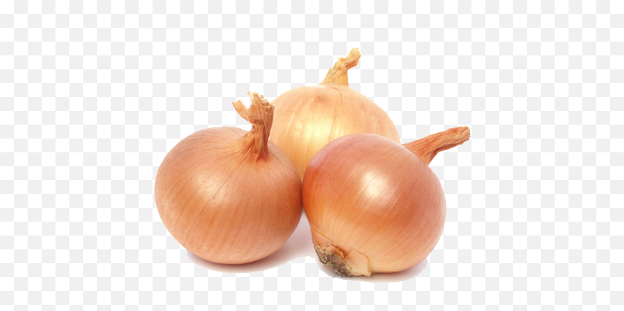 Free Transparent Onion Download Free - Brown Onion Emoji,Onions Emoji