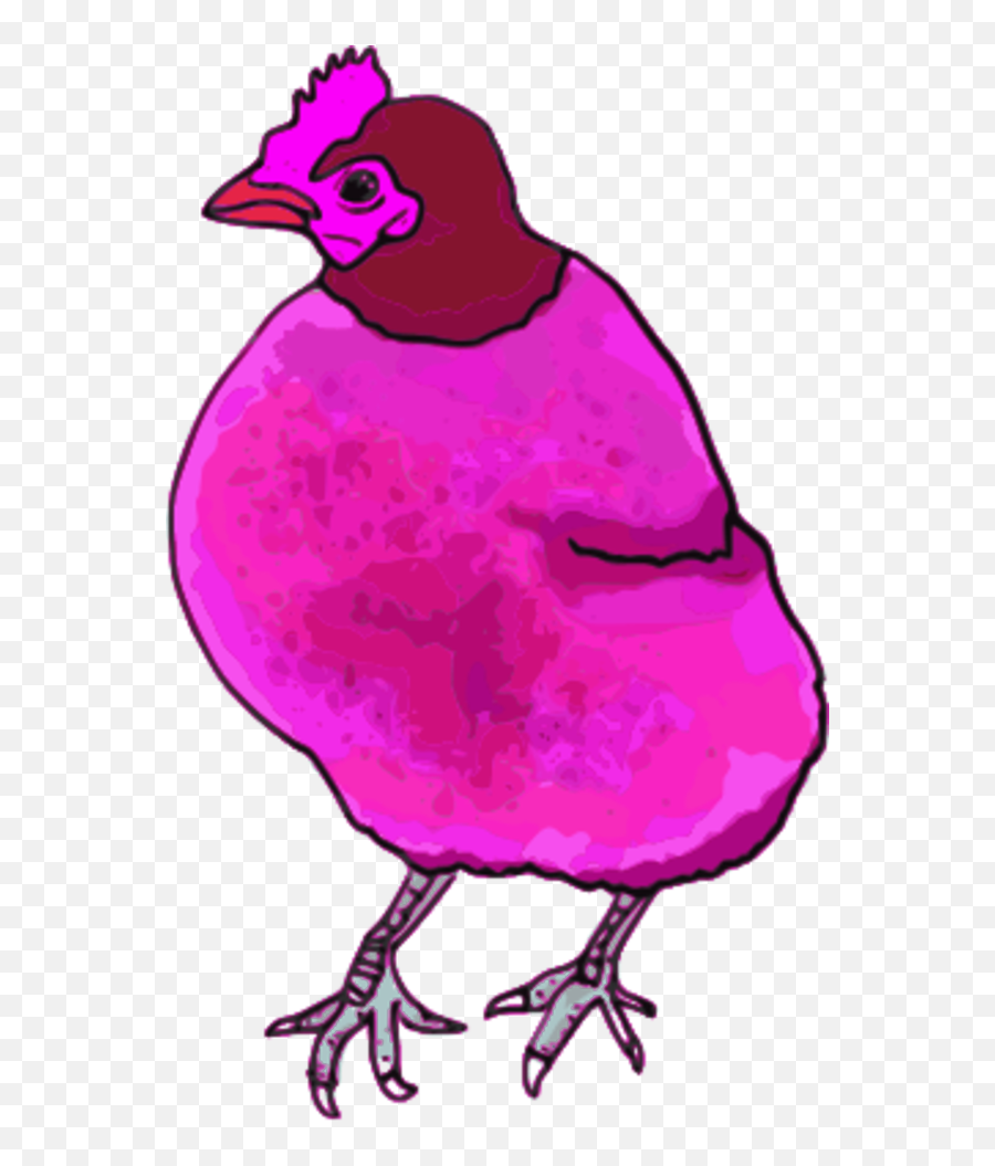 Chicken Hen Vector Clip Art Image - Clipartix Pink Chicken Clipart Emoji,Chicken Emoji Png