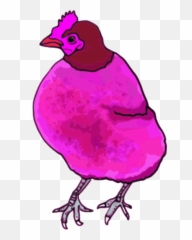 Chicken Hen Vector Clip Art Image - Clipartix Pink Chicken Clipart Emoji,Chicken Emoji Png