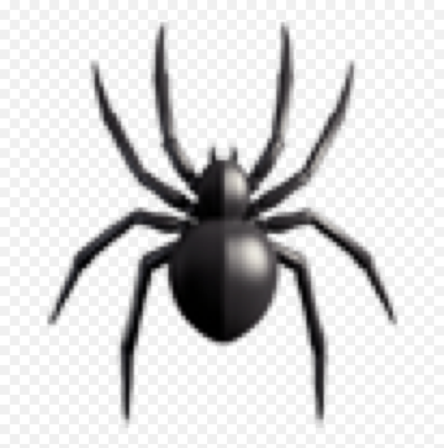Spider Black Vsco Sticker - Spider Emoji,Black Emojis Aesthetics