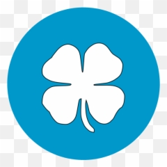 Quiz Culture App White Screen - Clip Art Emoji,Emoji Quiz Phrases