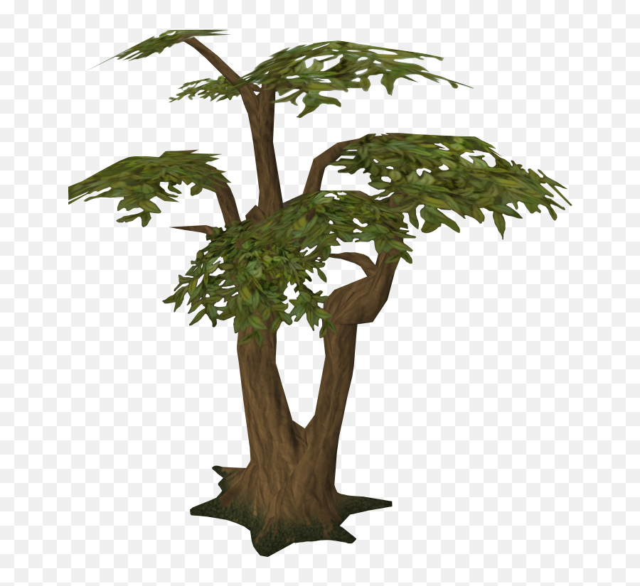 Woodcutting Runescape Wiki Fandom - Runescape Tree Emoji,Three Emoji Monkeys In Trees