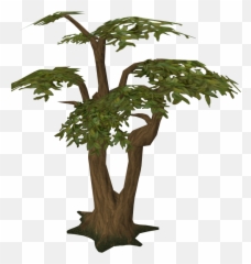 Woodcutting Runescape Wiki Fandom - Runescape Tree Emoji,Three Emoji Monkeys In Trees