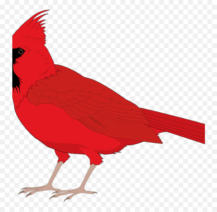 Cute Flying Sitting Free Birds Design Clip - Clip Art Red Flying Transparent Cardinal Clipart Emoji,Cardinal Bird Facebook Emoticon