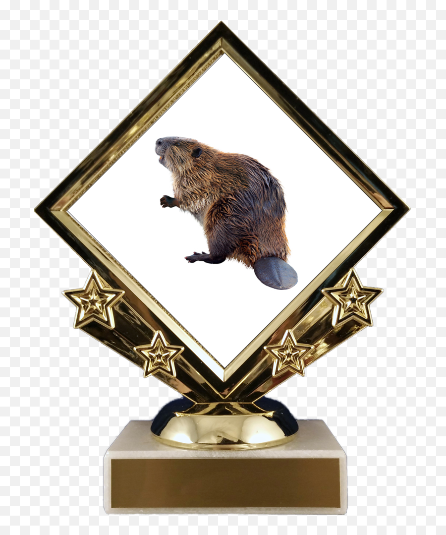 Beaver Logo Diamond Trophy - Trophy Emoji,Pinewood Derby Designs Emojis