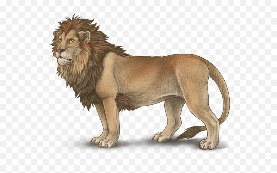 Lion Mutation Leopon Mane Hybrid - Lion Head Png Download Durga Maa Lion Drawing Emoji,Lion Emoji Png