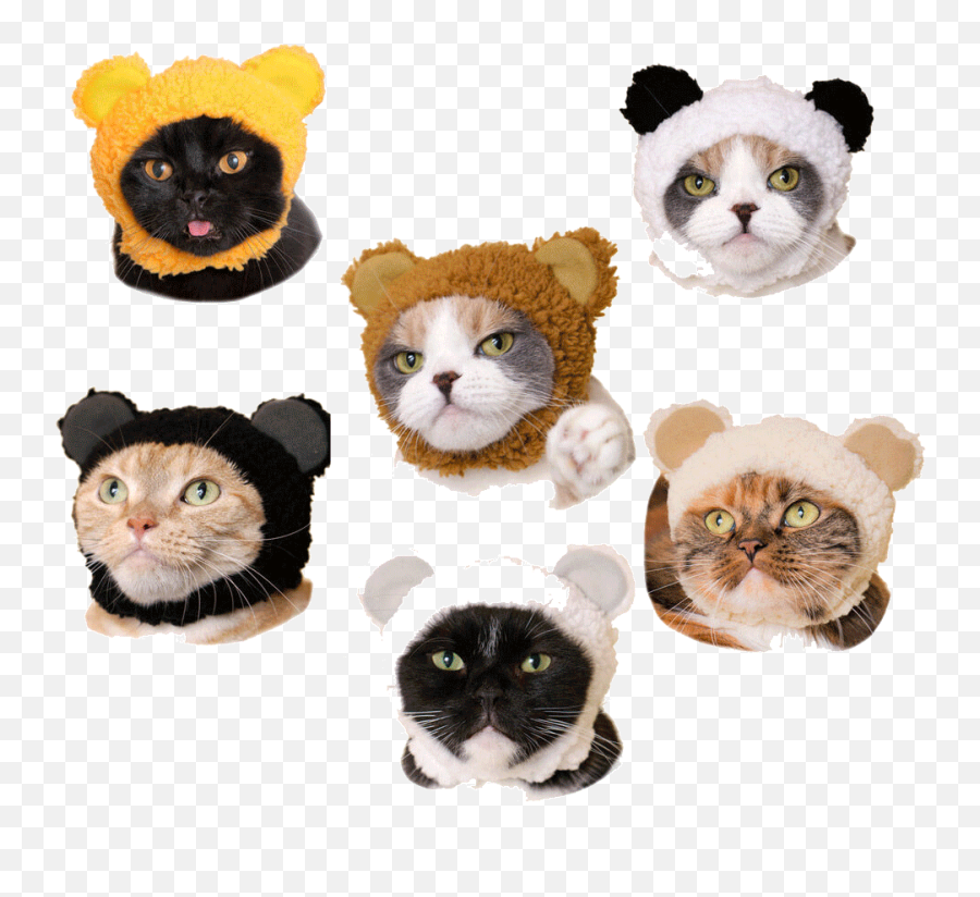Things U2014 I Have A Crush On You Emoji,Troll Cat Emoticon